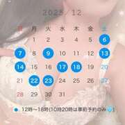 椎名 美月 12月初出勤日🩵 白夜