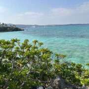 ヒメ日記 2025/01/21 16:22 投稿 えみね 川越ぽちゃまに