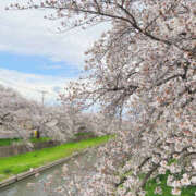 ヒメ日記 2025/04/08 17:02 投稿 えみね 川越ぽちゃまに