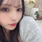 ヒメ日記 2024/12/14 19:57 投稿 はるね ハイ・チュッ