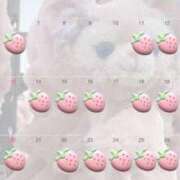 ヒメ日記 2025/04/01 18:07 投稿 はるね ハイ・チュッ