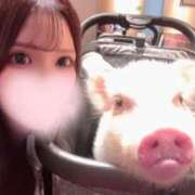 ヒメ日記 2025/04/21 23:14 投稿 はるね ハイ・チュッ