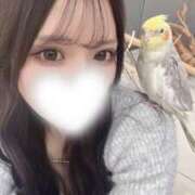 ヒメ日記 2025/06/21 00:19 投稿 はるね ハイ・チュッ