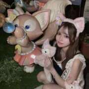 ヒメ日記 2025/11/22 20:52 投稿 はるね ハイ・チュッ