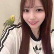 ヒメ日記 2026/01/14 17:25 投稿 はるね ハイ・チュッ