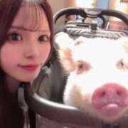 ヒメ日記 2026/06/01 11:05 投稿 はるね ハイ・チュッ