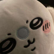 ヒメ日記 2024/12/24 15:00 投稿 つみき ハピネス東京