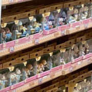 ヒメ日記 2025/01/09 03:58 投稿 つみき ハピネス東京