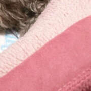 ヒメ日記 2025/03/06 10:12 投稿 つみき ハピネス東京