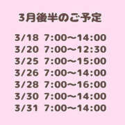 ヒメ日記 2025/03/18 05:10 投稿 つみき ハピネス東京