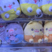 ヒメ日記 2025/03/24 09:09 投稿 つみき ハピネス東京