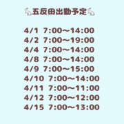 ヒメ日記 2025/03/27 08:37 投稿 つみき ハピネス東京
