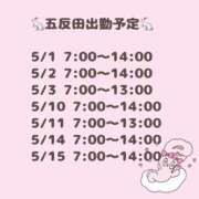 ヒメ日記 2025/04/22 16:57 投稿 つみき ハピネス東京