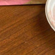 ヒメ日記 2025/07/06 04:37 投稿 つみき ハピネス東京