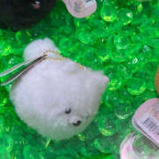 ヒメ日記 2025/07/10 04:27 投稿 つみき ハピネス東京