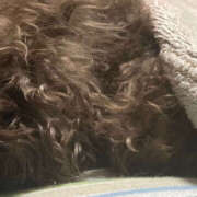 ヒメ日記 2025/10/10 04:32 投稿 つみき ハピネス東京