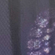 ヒメ日記 2025/12/22 13:57 投稿 つみき ハピネス東京