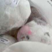 ヒメ日記 2026/01/31 04:27 投稿 つみき ハピネス東京