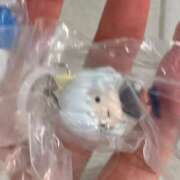 ヒメ日記 2026/02/02 09:57 投稿 つみき ハピネス東京