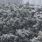 ヒメ日記 2026/02/13 04:37 投稿 つみき ハピネス東京