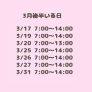 ヒメ日記 2026/03/13 04:37 投稿 つみき ハピネス東京