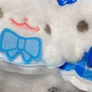 ヒメ日記 2026/03/20 07:07 投稿 つみき ハピネス東京