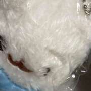 ヒメ日記 2026/04/03 04:27 投稿 つみき ハピネス東京