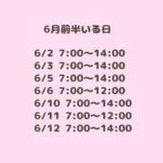 ヒメ日記 2026/05/29 04:17 投稿 つみき ハピネス東京
