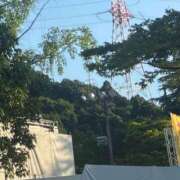 ヒメ日記 2026/07/23 04:47 投稿 つみき ハピネス東京