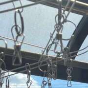 ヒメ日記 2026/08/11 04:37 投稿 つみき ハピネス東京