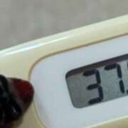 ヒメ日記 2026/08/24 20:57 投稿 つみき ハピネス東京