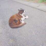 ヒメ日記 2025/01/23 21:14 投稿 あさひ チューリップ福井本館