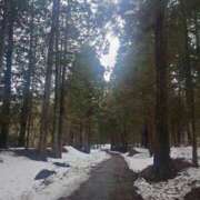 ヒメ日記 2025/03/21 11:16 投稿 あさひ チューリップ福井本館