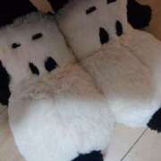 ヒメ日記 2025/03/22 00:04 投稿 あさひ チューリップ福井本館