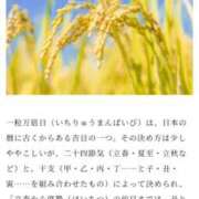 ヒメ日記 2025/03/29 06:04 投稿 あさひ チューリップ福井本館