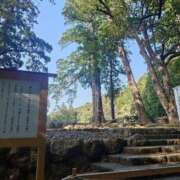 ヒメ日記 2025/03/29 21:20 投稿 あさひ チューリップ福井本館