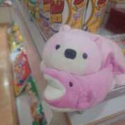 ヒメ日記 2025/04/09 21:16 投稿 あさひ チューリップ福井本館