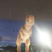 ヒメ日記 2025/04/14 21:17 投稿 あさひ チューリップ福井本館