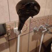 ヒメ日記 2025/05/04 15:24 投稿 あさひ チューリップ福井本館