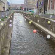 ヒメ日記 2025/05/21 21:15 投稿 あさひ チューリップ福井本館