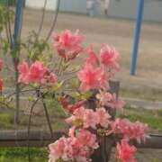 ヒメ日記 2025/05/22 21:20 投稿 あさひ チューリップ福井本館