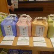 ヒメ日記 2025/05/28 15:20 投稿 あさひ チューリップ福井本館