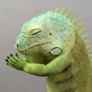 ヒメ日記 2025/05/31 09:07 投稿 あさひ チューリップ福井本館