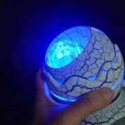 ヒメ日記 2025/05/31 12:18 投稿 あさひ チューリップ福井本館