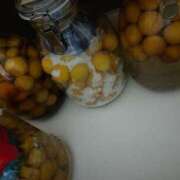 ヒメ日記 2025/06/24 21:14 投稿 あさひ チューリップ福井本館