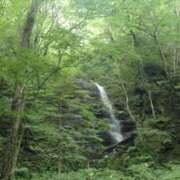 ヒメ日記 2025/07/11 16:43 投稿 あさひ チューリップ福井本館