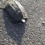 ヒメ日記 2025/07/24 17:34 投稿 あさひ チューリップ福井本館