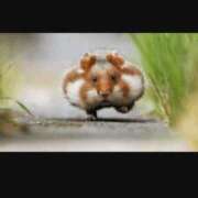 ヒメ日記 2025/07/26 21:04 投稿 あさひ チューリップ福井本館