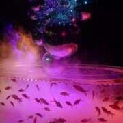 ヒメ日記 2025/08/18 00:04 投稿 あさひ チューリップ福井本館