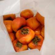 ヒメ日記 2025/11/25 20:34 投稿 あさひ チューリップ福井本館